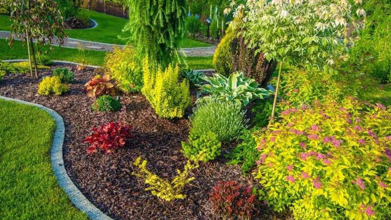 金年会 绿化养护指导服务配图